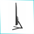 NVISION N2455PRO-B 23.8" FHD 100Hz IPS LED Black Monitor